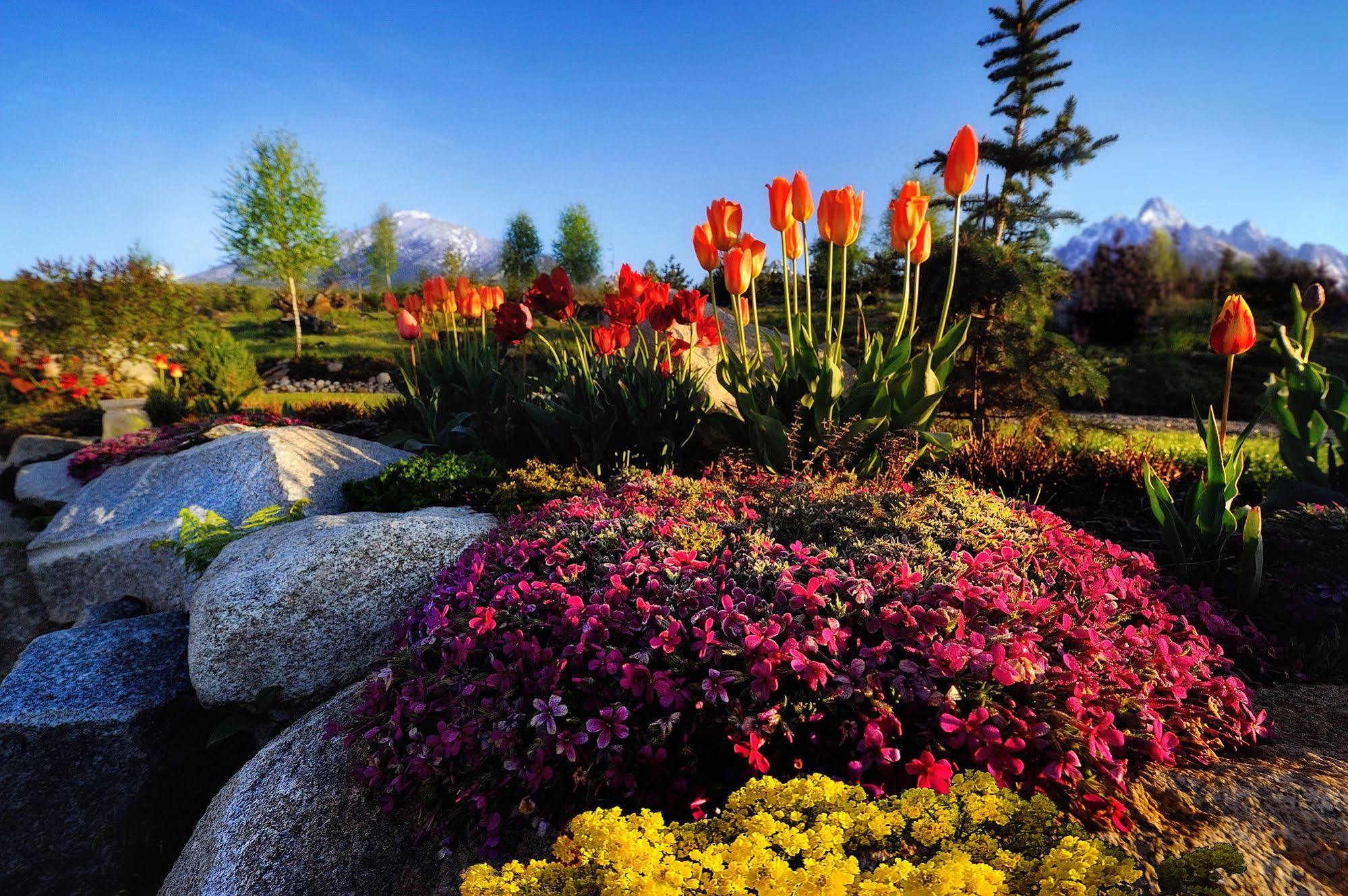 Panoramic Mountain Residence Vysoke Tatry Luaran gambar